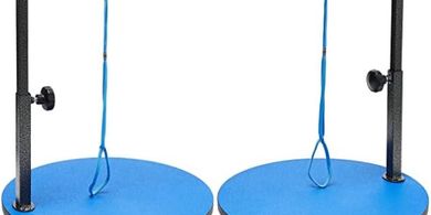 Blue Master Pet Grooming Table