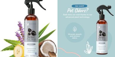 Kin+Kind Patchouli Dog Coat Spray: Natural Deodorizer & Cologne