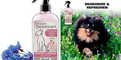 Wahl Pet Deodorant Spray: Aloe & Cornflower, Fresh Scent