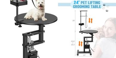 Adjustable Electric Dog Grooming Table (24", Rotating, Non-Slip)