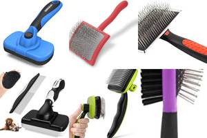 The 5 Best Dog Brushes for Every Coat Type