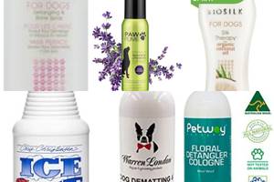5 Amazing Detangling Dog Colognes to Try