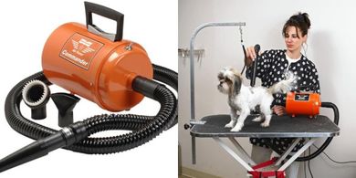 Air Force Commander 4 HP 2-Speed Dryer