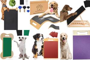 Double-Sided Dog Scratch Pads: 5 Ways to Protect Your Furniture