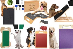 Double-Sided Dog Scratch Pads