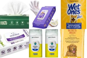Dog Wipes for Grooming