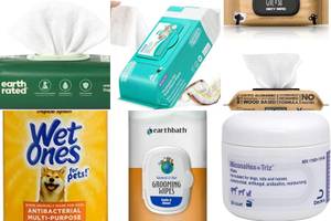 Best Dog Wipes for Allergies: Top 5 Picks