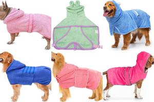 Hooded Dog Towels: 5 Super-Absorbent Towels for Your Furry Friend