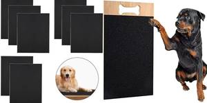 4 Best Odor-Free Dog Scratch Pads