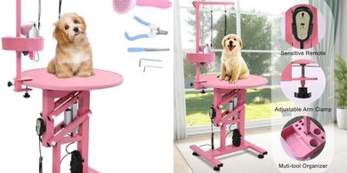 Adjustable Electric Dog Grooming Table with Arm & Tool Organizer