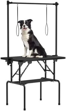 ROOMTEC Foldable Dog Grooming Table: Adjustable Arm, Nooses, Tray