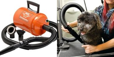 MetroVac Air Force Commander: 802W Pet Hair Dryer (Orange)
