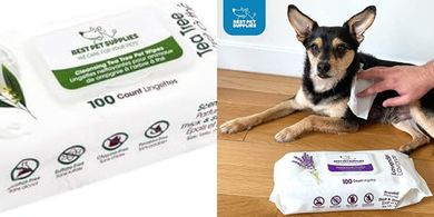 Plant-Based Pet Grooming Wipes (100 ct): Tea Tree, Sensitive Skin