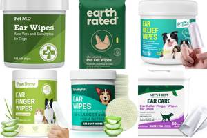 Best Dog Ear Wipes: Top 5 Picks