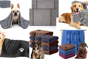 The 5 Best Dog Towels for Short-Haired Breeds
