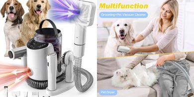 Professional Dog & Cat Grooming Kit: Dryer, Clippers, 8 Tools