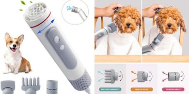 Portable Pet Hair Dryer: 3 Heat/Speed Settings, 3 Nozzles