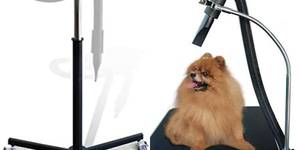 Best Shelandy Dog Hair Dryers: Top 3 Picks