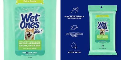 Wet Ones Pet Wipes: Gentle, Hypoallergenic, Fragrance-Free (30 ct)
