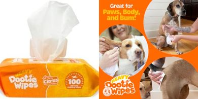 Bamboo Dog Wipes: 100 Count, Citrus Scent, Paws & Butt