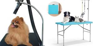 Professional Stainless Steel Dog Grooming Table