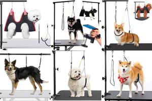 Top 5 Dog Grooming Tables with Arm