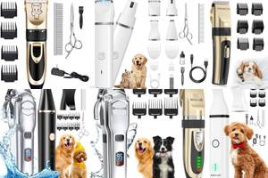 Top 5 Best Dog Clippers
