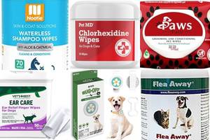 Best Dog Wipes for Ticks & Fleas: Top 5 Picks