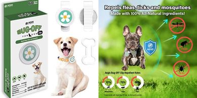 KN FLAX Bug-Off Dog Collar: 60-Day Natural Flea & Tick Protection