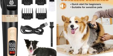 Quiet, Cordless Rechargeable Dog Clippers (4-Speed LCD)