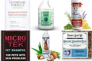 Best Dog Shampoos for Hot Spots: Top 5 Picks