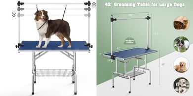 Adjustable Folding Dog Grooming Table (42", 330lb) with Arms & Tray