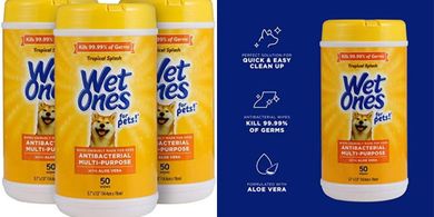 Wet Ones Pet Wipes: Aloe Vera, Tropical Splash, 150 Count