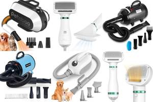 5 Best Dog Hair Dryers for a Quick & Easy Groom