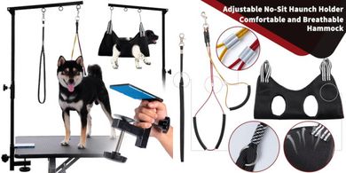 Adjustable Height Dog Grooming Table with Hammock & Clamp
