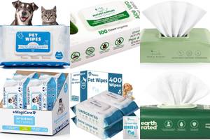 Best 5 Unscented Dog Wipes for Clean Paws & More