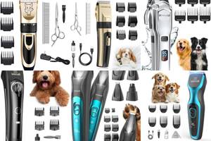 Best 5 Dog Clippers for Bichon Frises