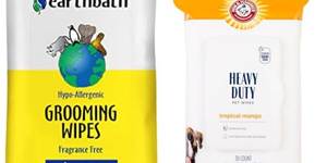 The Best Travel Dog Wipes for On-the-Go Cleanliness