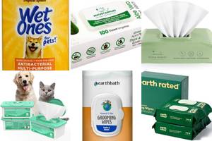 5 Best Aloe Vera Dog Wipes: A Top List