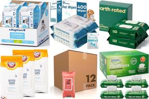 5 Best Dog Wipes for Clean Paws & More