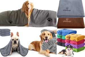 5 Best Waterproof Dog Towels for Messy Adventures