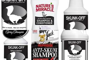 Neutralize Skunk Smell: Best Dog Shampoo for Skunk Spray